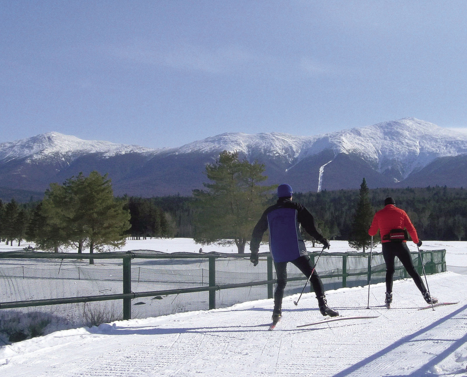 3-7-12redblueskaters.jpg